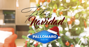 Feliz Navidad y Próspero Año Nuevo!